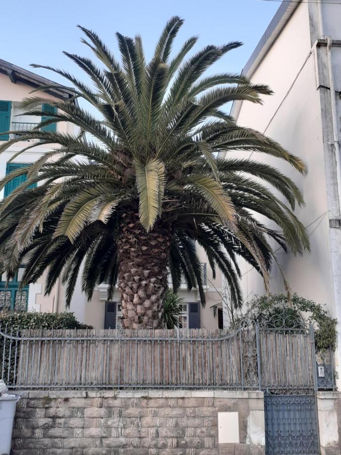 Dax A Pied! T1 2 Etoiles Centre Ville Balcon Exterior foto